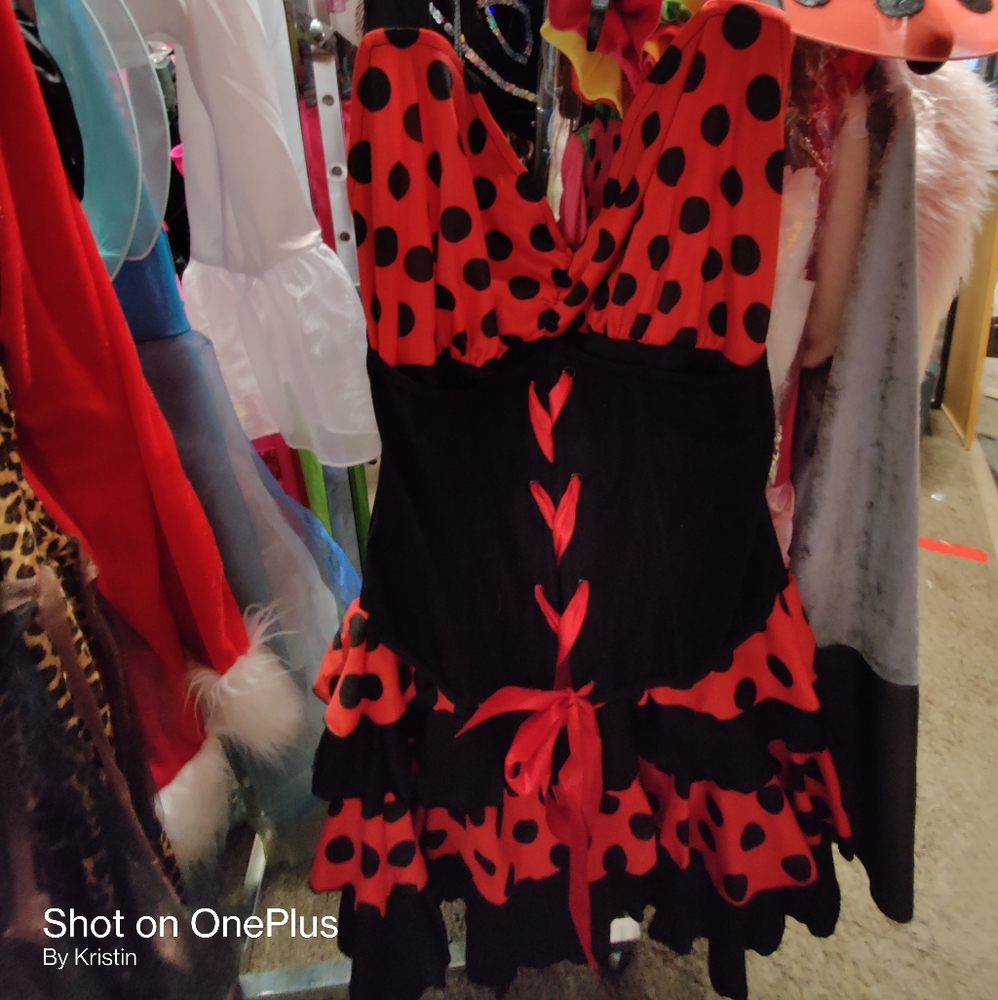 A ladybug Ladies costume - Picture 2 of 12
